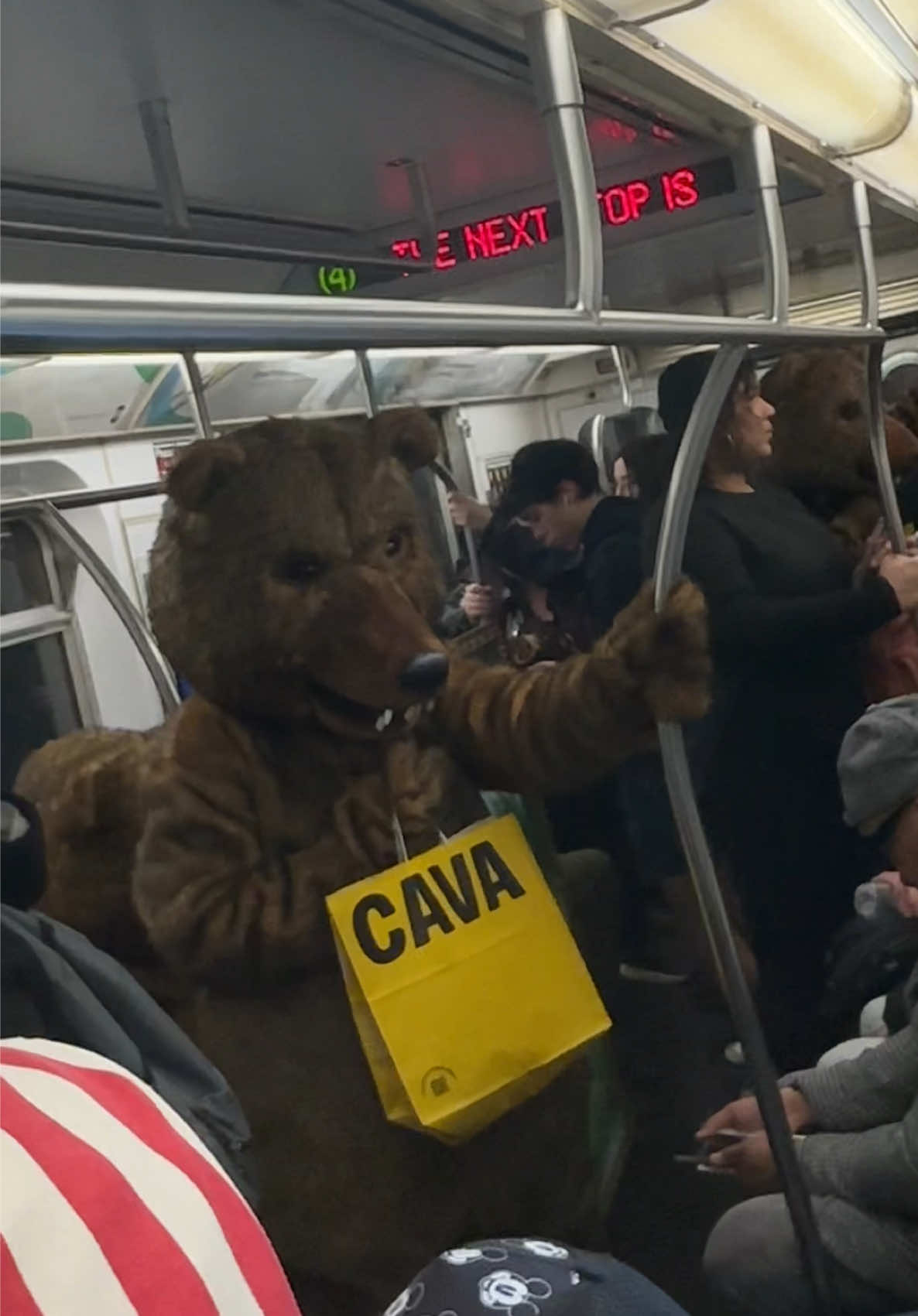 @SubwayCreatures
