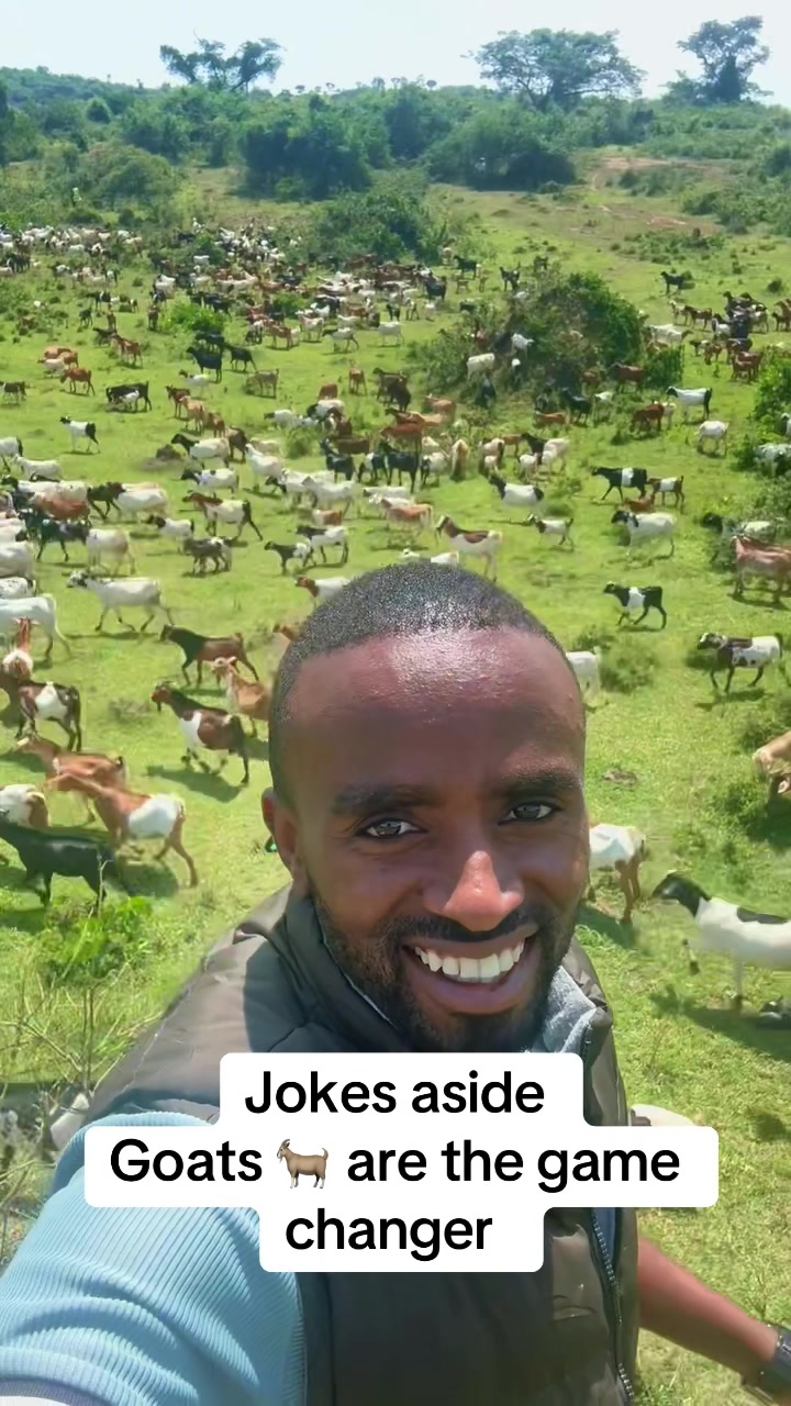 @OBED BEN