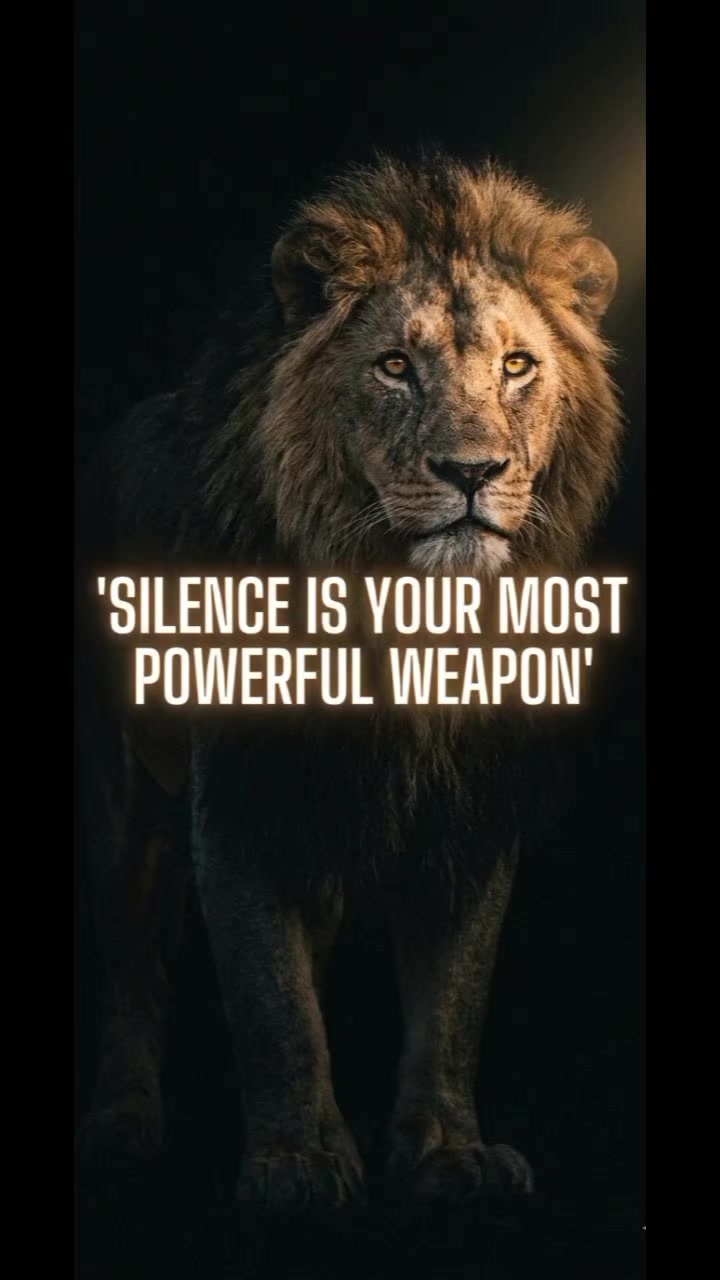 @silentNova