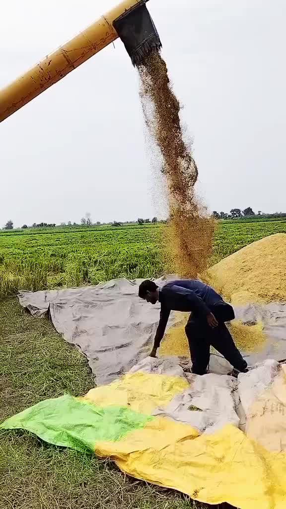 @Asmat 009