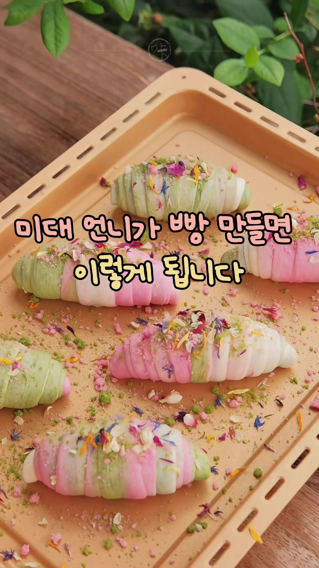 @🏠홈트렌드랩