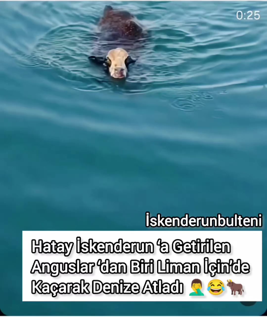 @iskenderunb&uuml;lteni