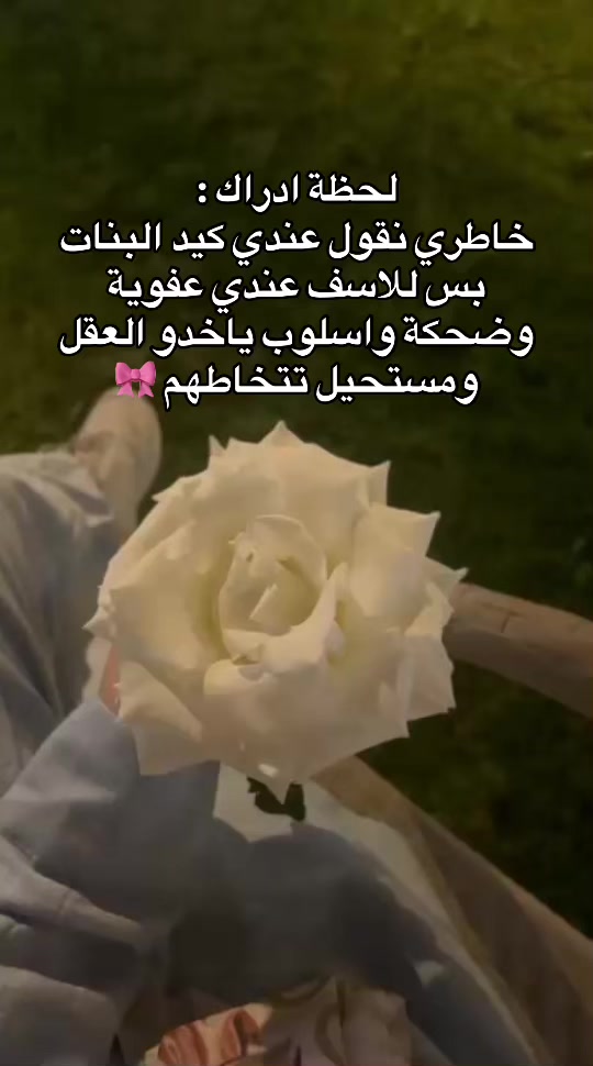 @AyA Ali