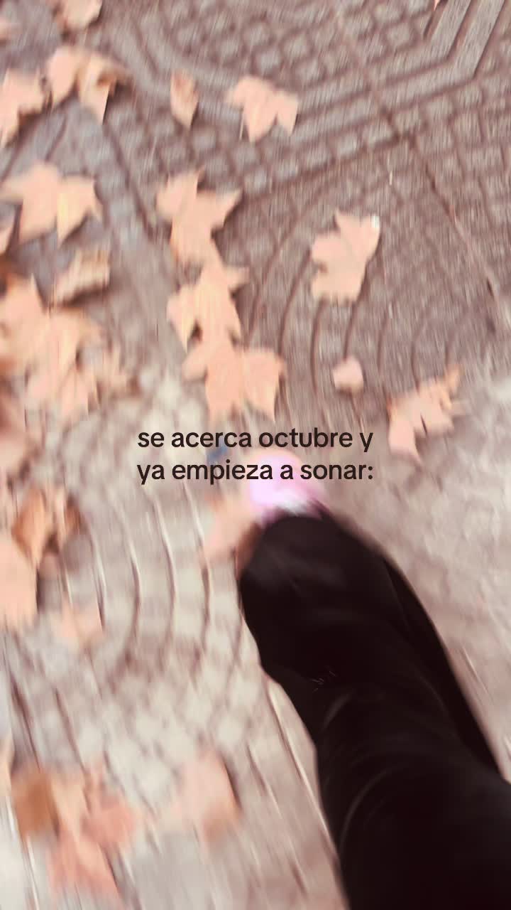 @╋━