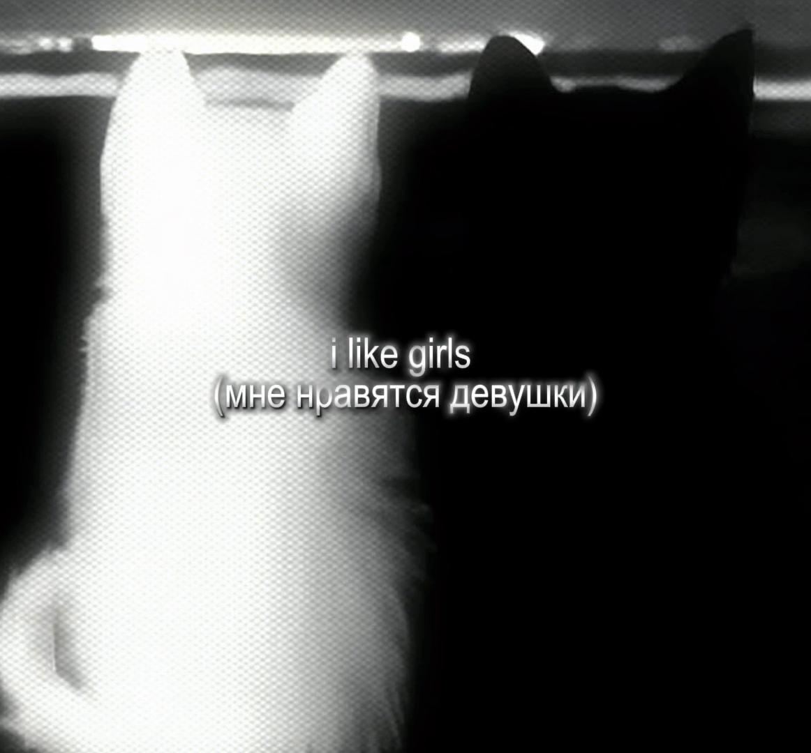 @𓆩yagamiℓight𓆪