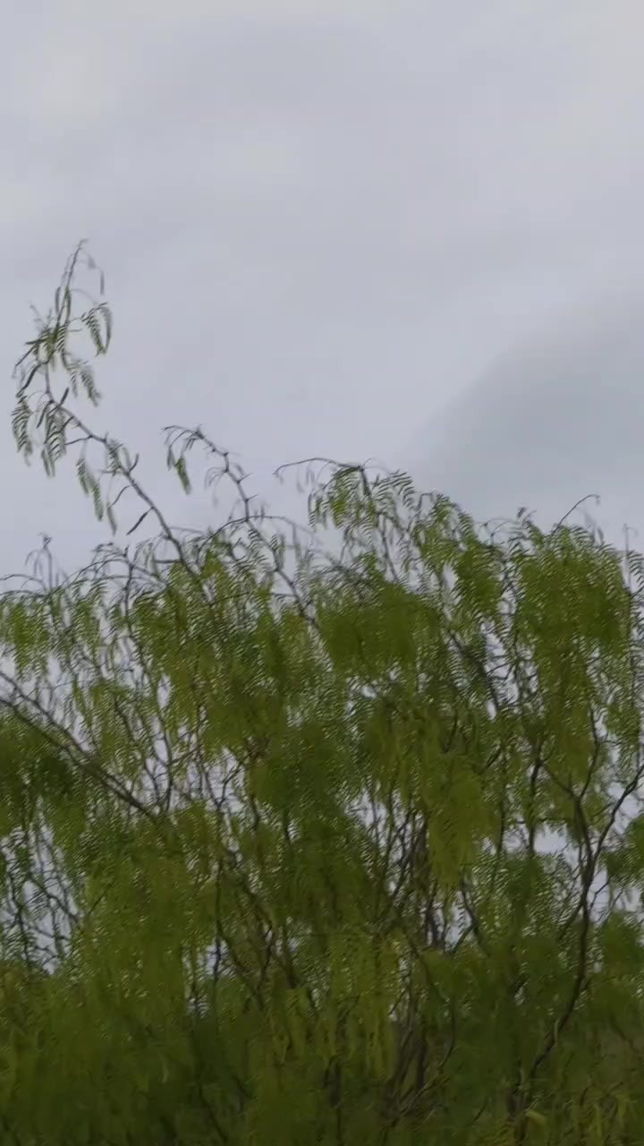 @꧁༒☬اٌمید آفریدی꧁༒☬