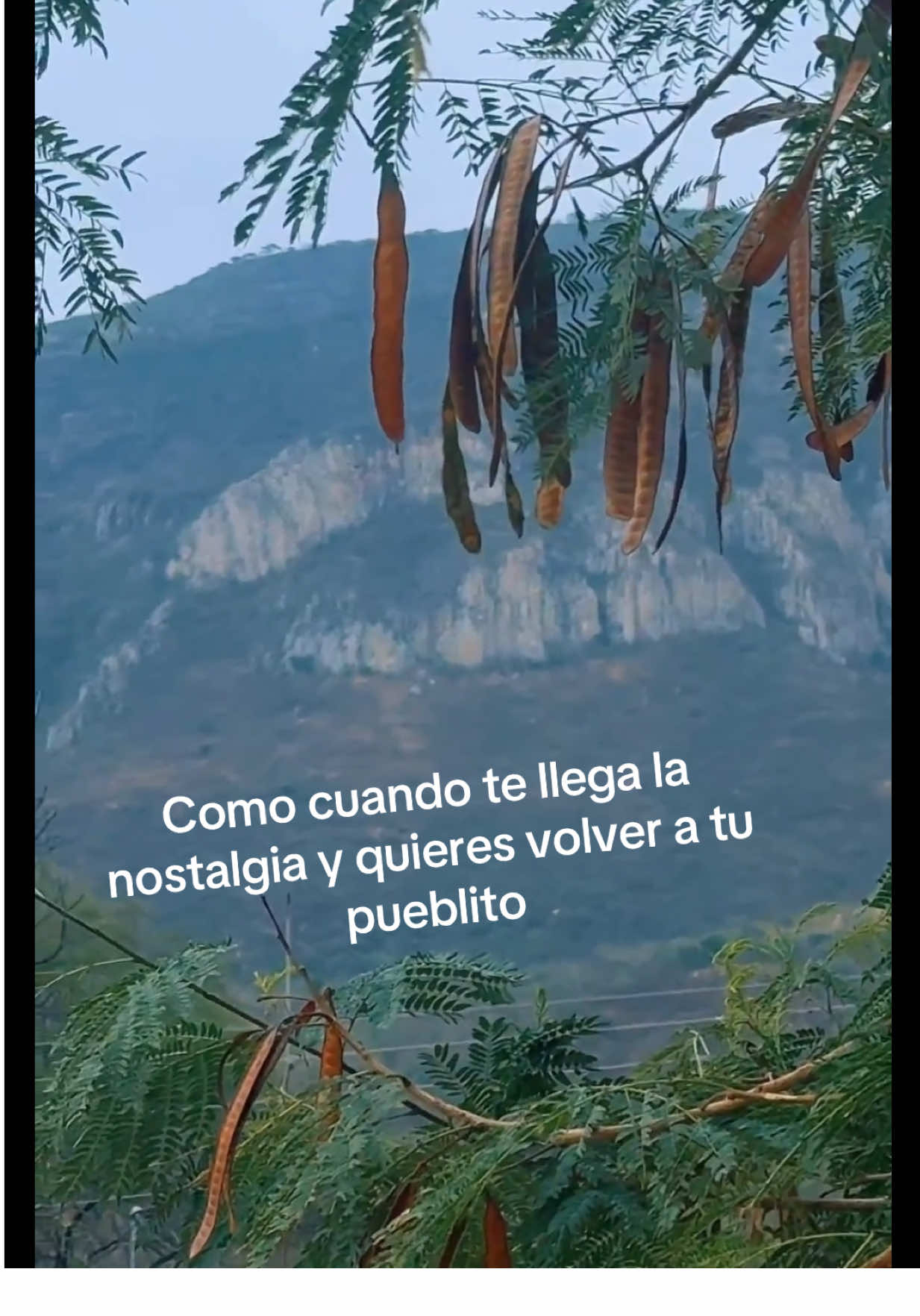 @Nostic Jalisco, México