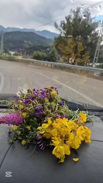 @🌺🅽🅰🆉46🌺🎼📻