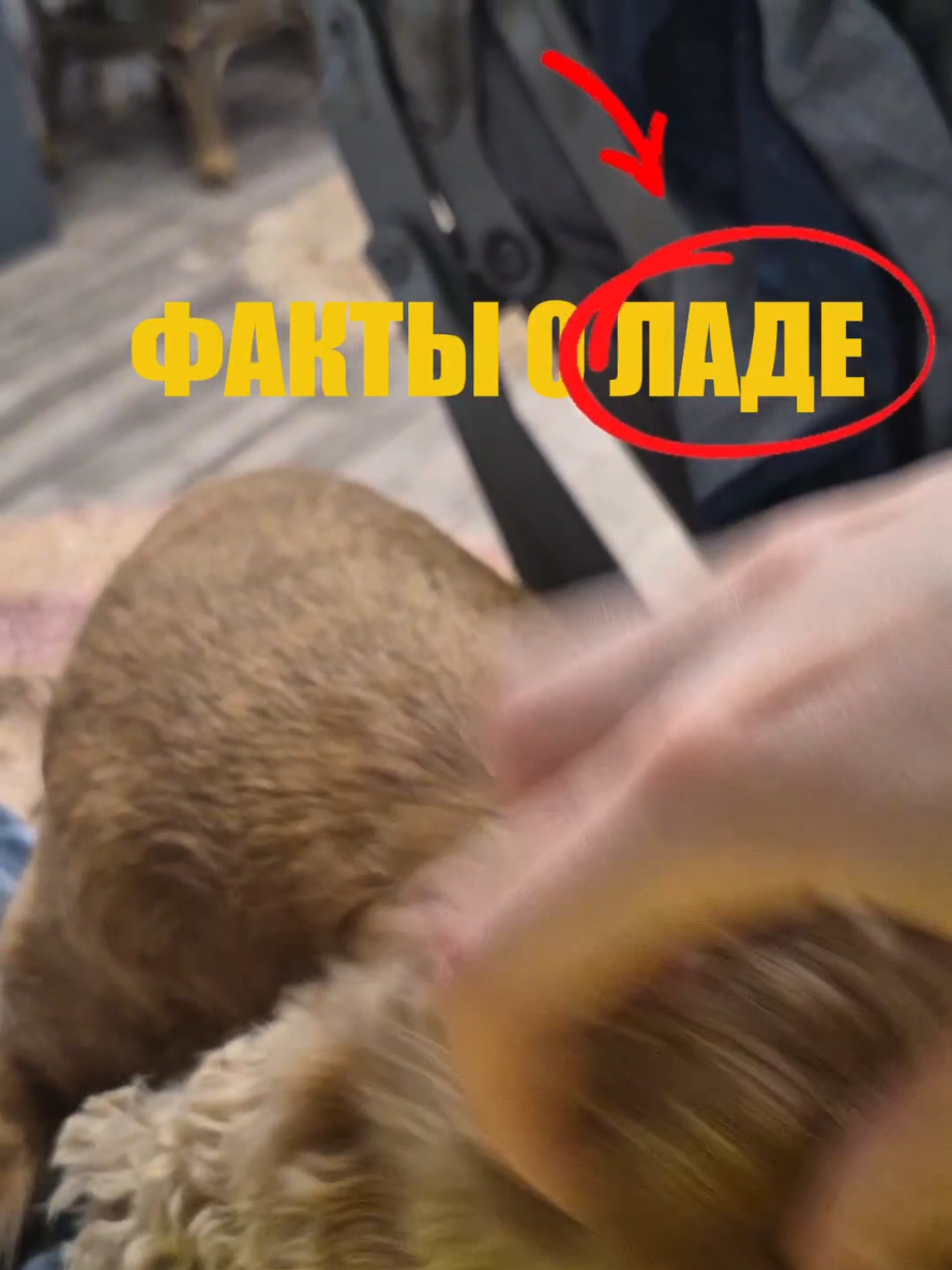 @пузырек