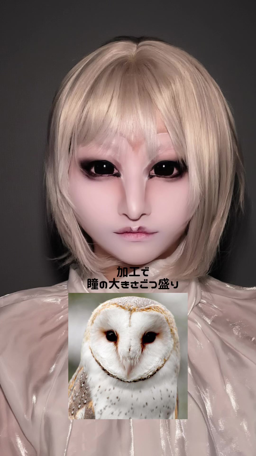 @針原きるけ