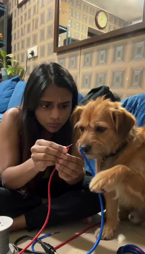 @🦍பேரரசி பன்னீர் செல்வம்🖤