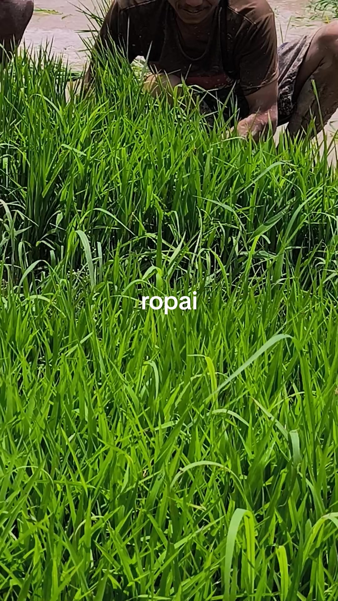 @khadka