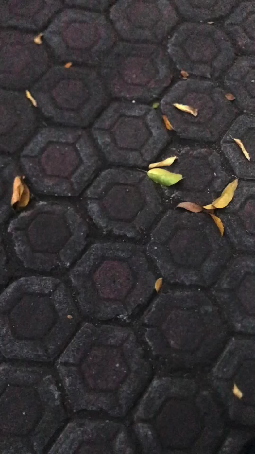@Arzan.Sad