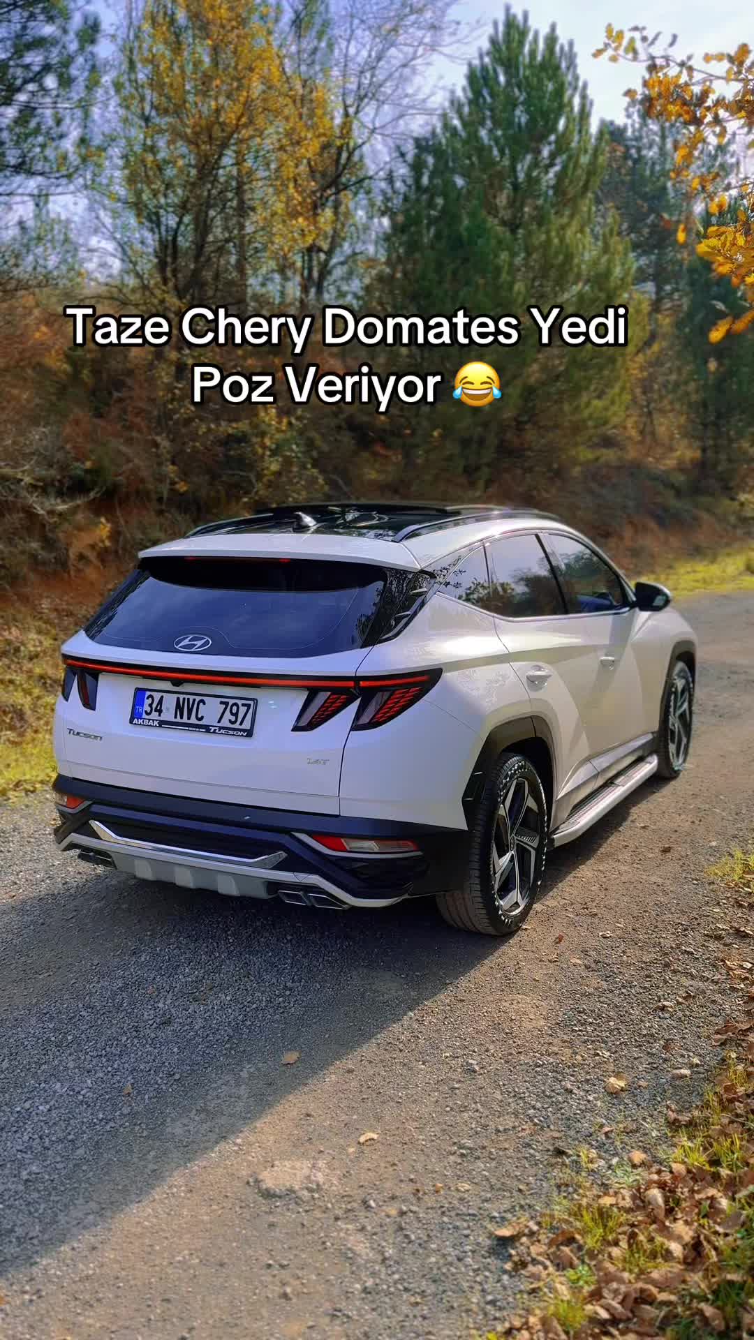 @Mahsun Yılmaz