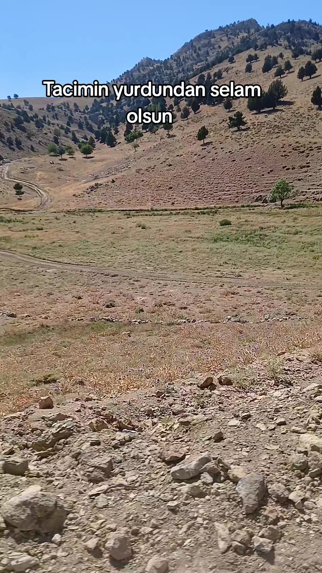 @&Uuml;mit g&ouml;kburun