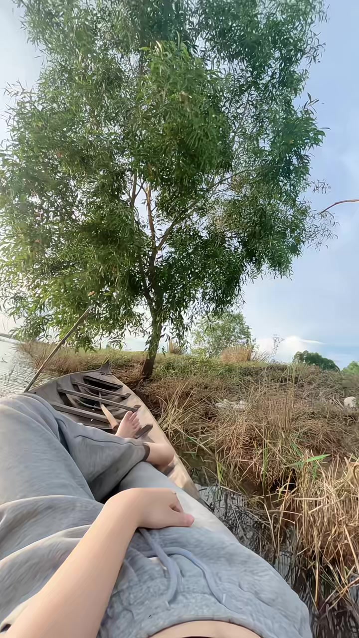 @amenda.