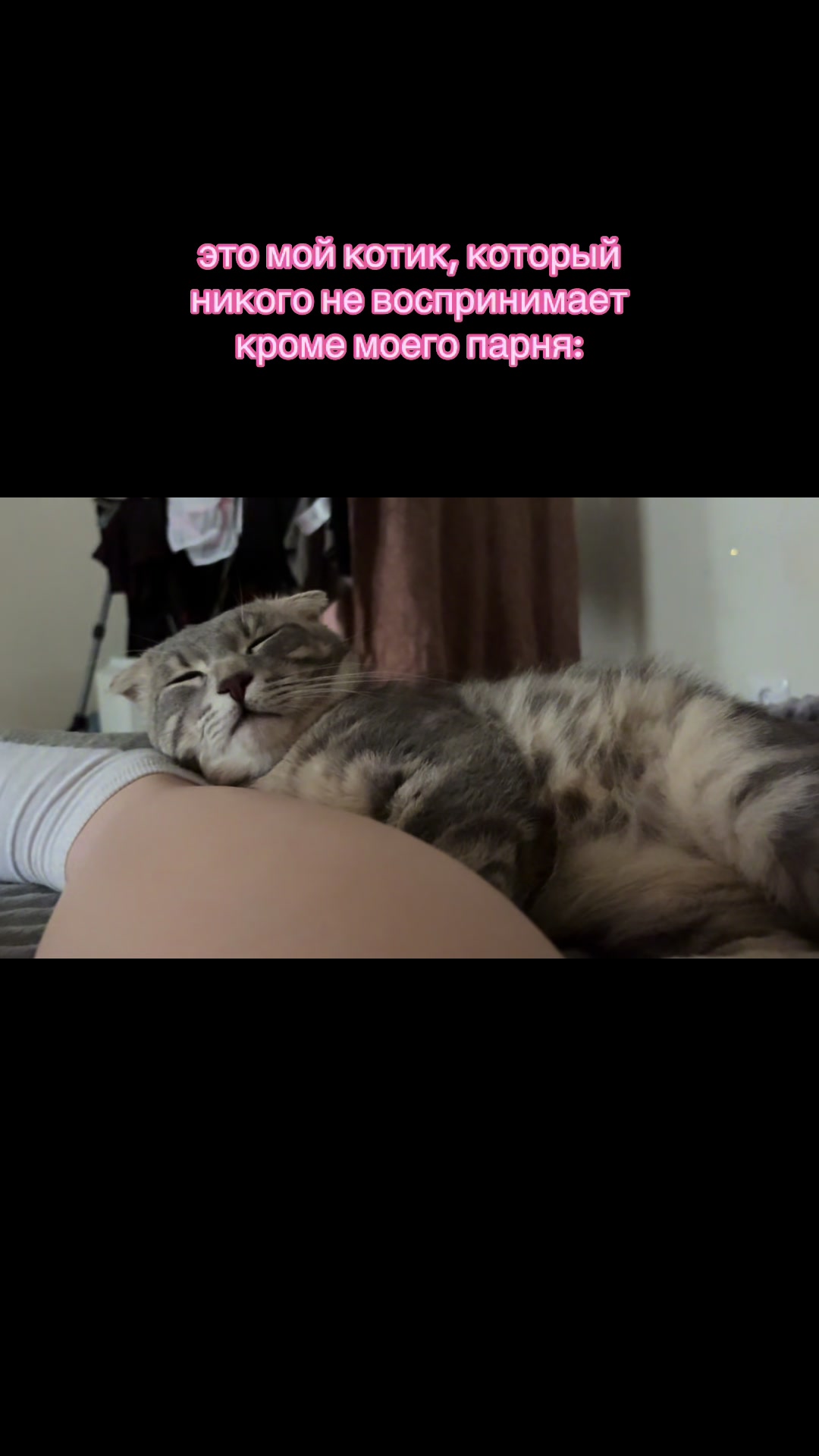 @Настя Техник