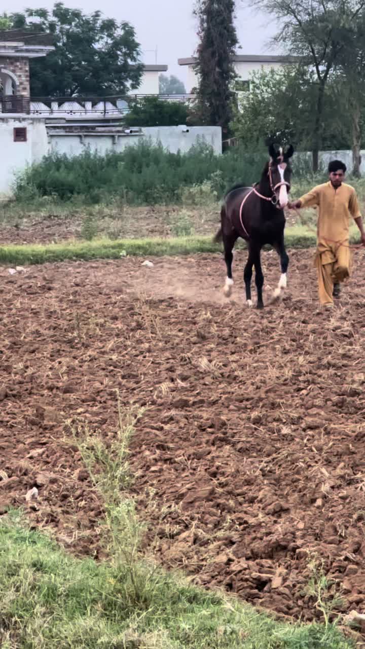 @راجہ علی عباس ڈھوک راجگان