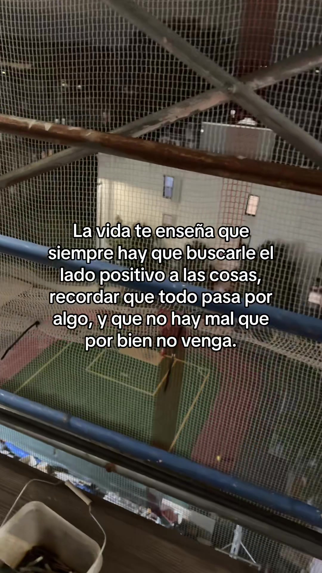 @Alex 💪🏻