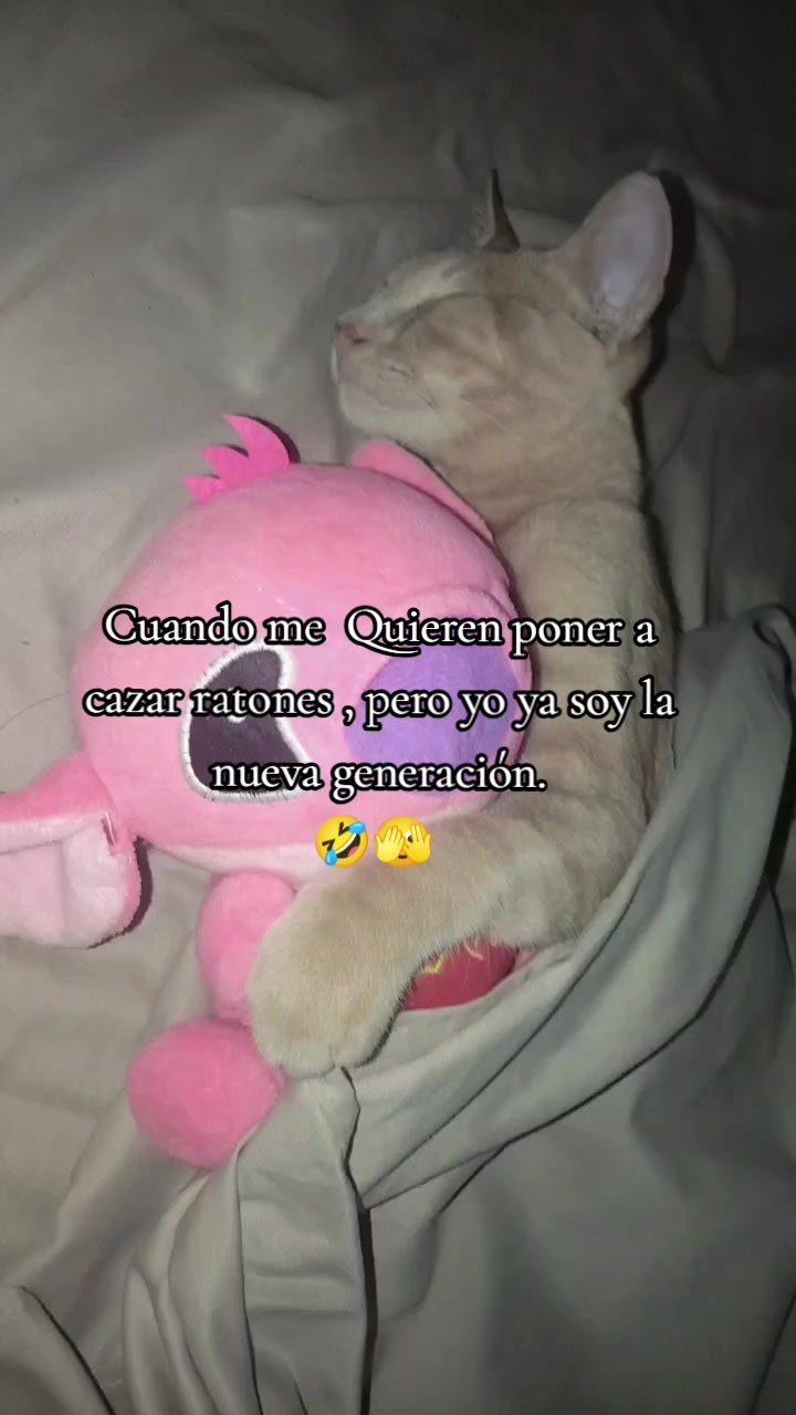 @Maria Suarez
