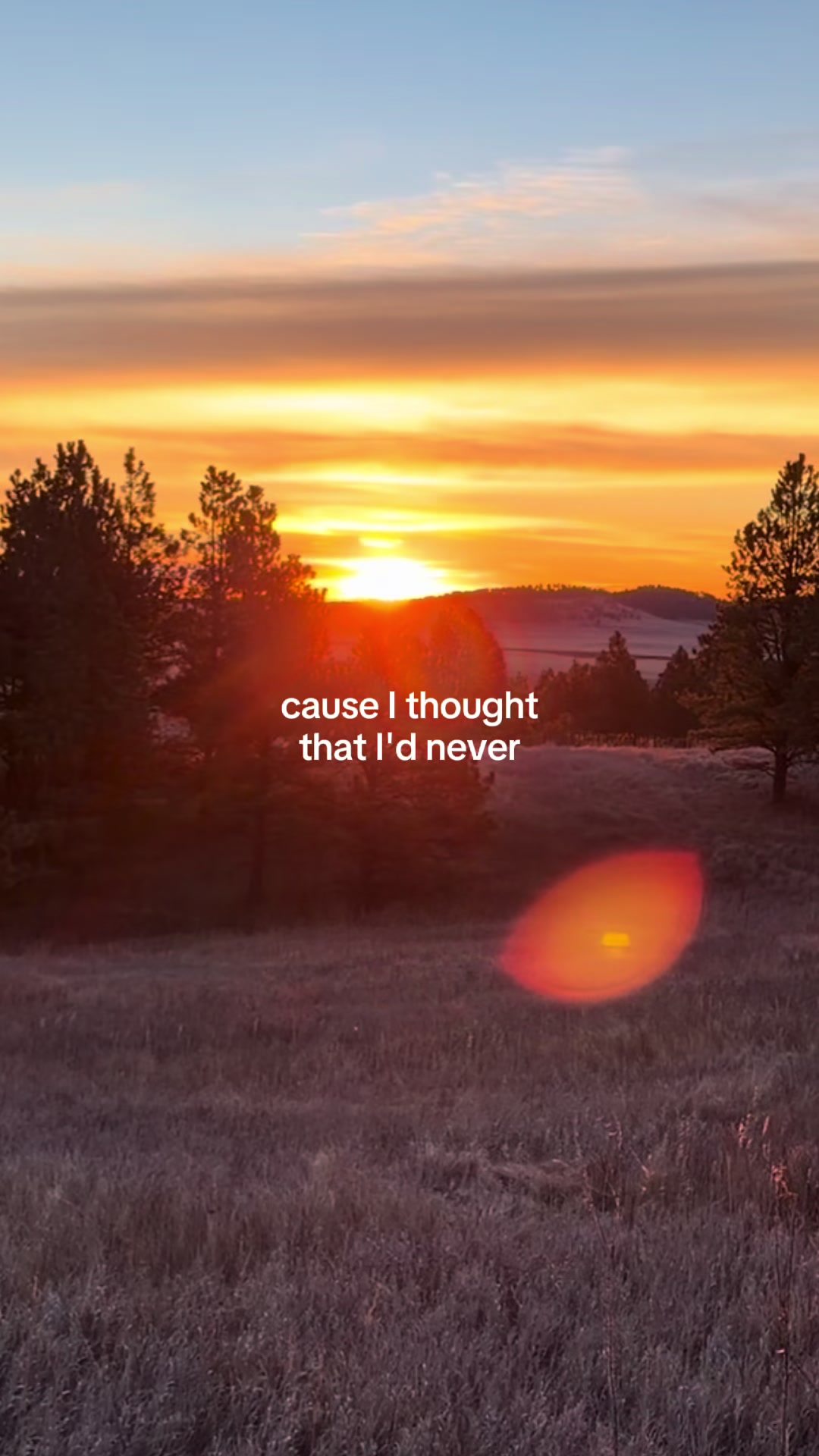 @Sydnie Gamroth