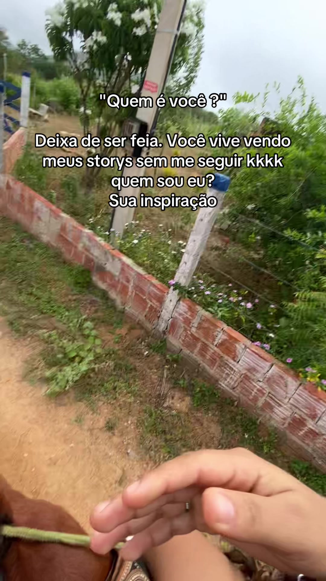 @Maria Luiza
