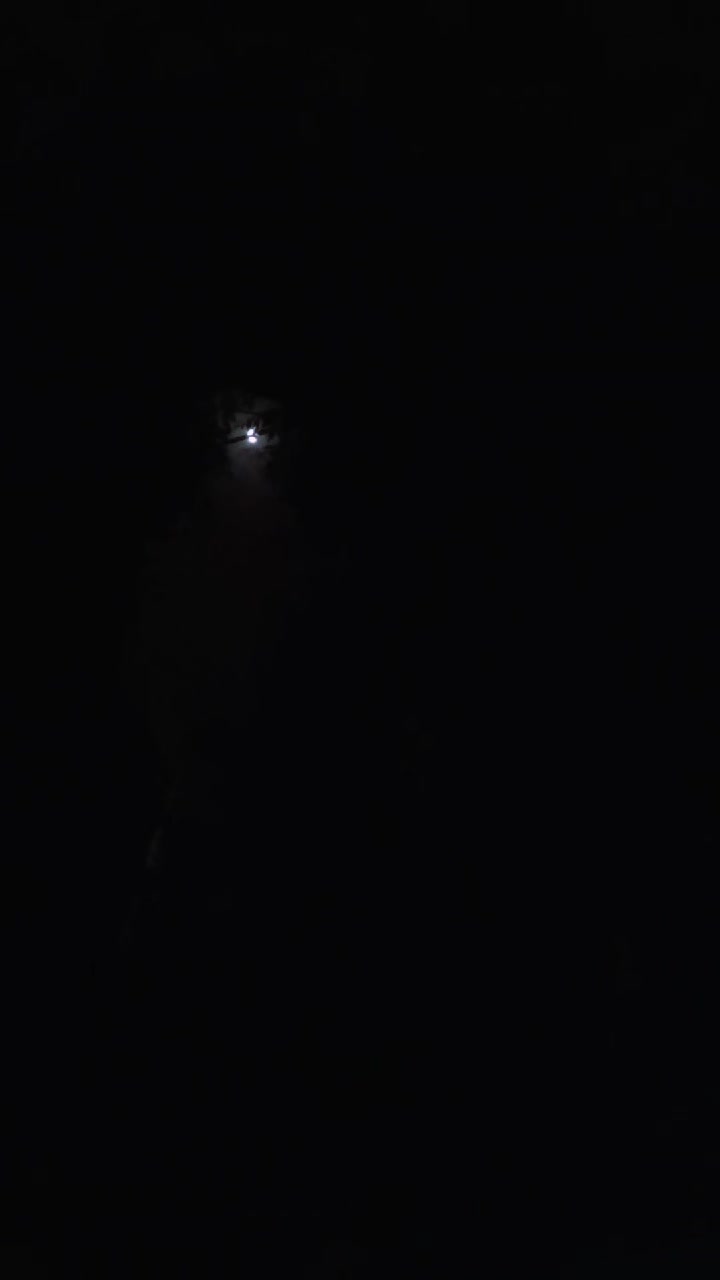 @𝓝𝓲𝓴𝓪𝓪 𝓜𝓾𝓻𝓼𝓱𝓪𝓭