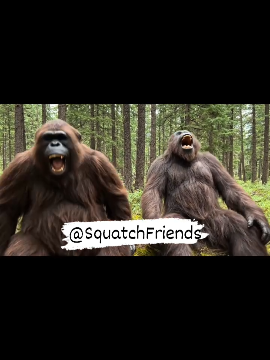 @Squatch Friends