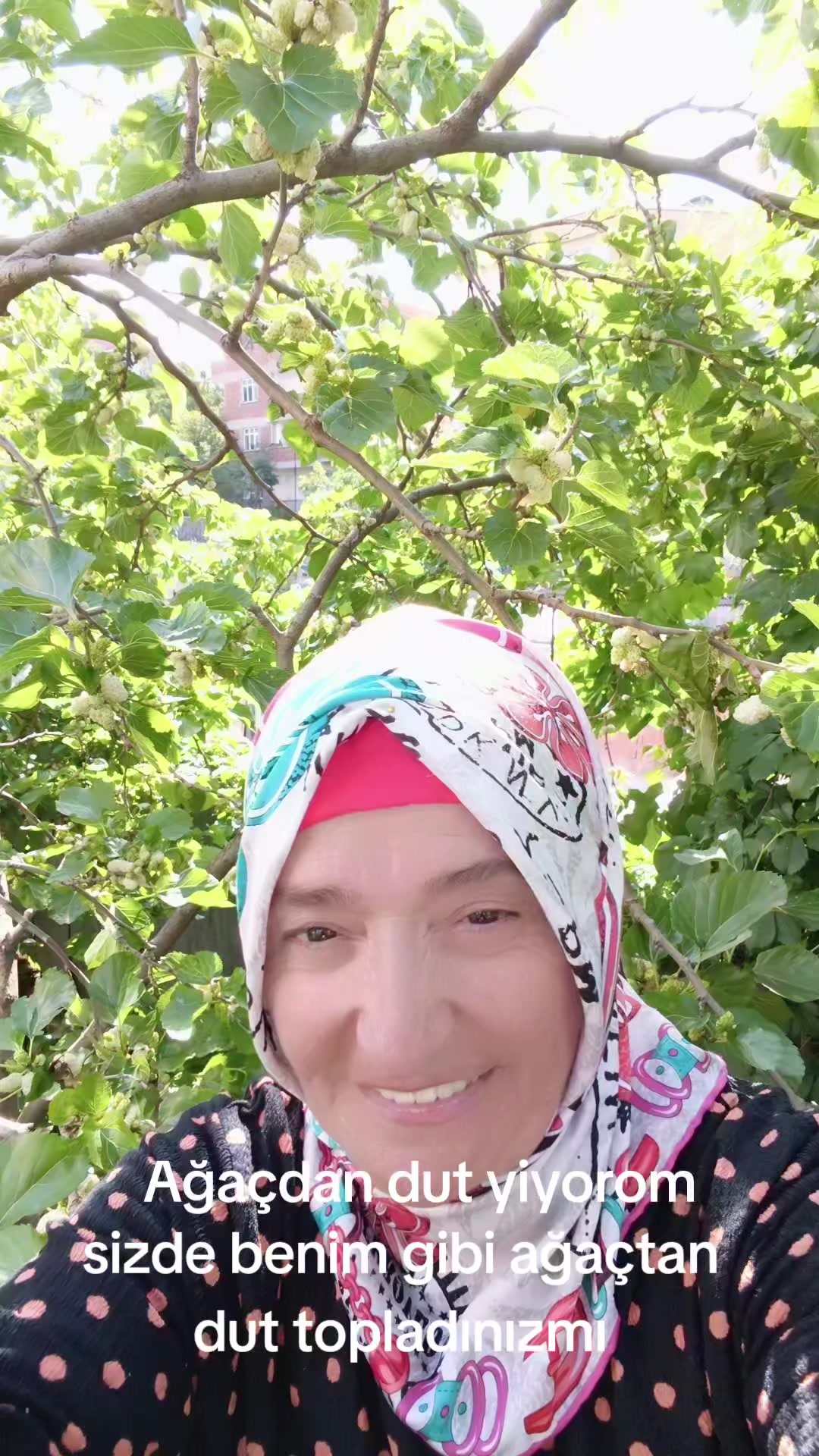@Şükran Yilmaz