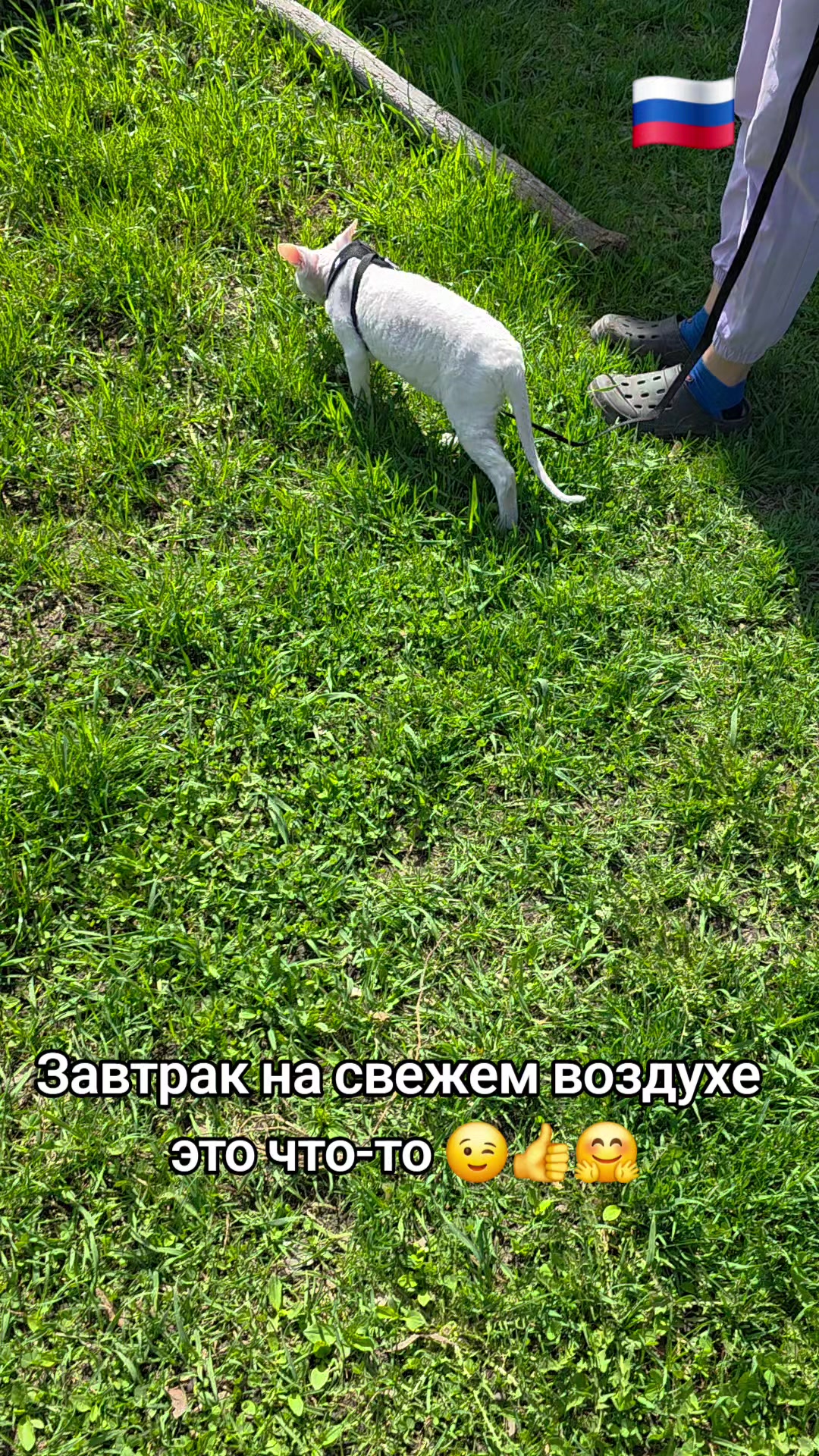 @Возничий BRO