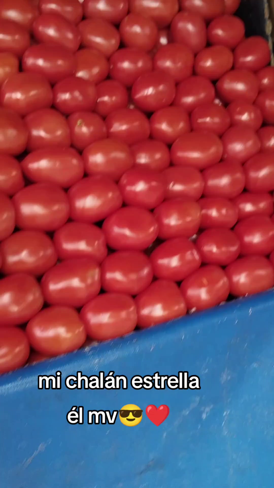 @Laurita Orta608