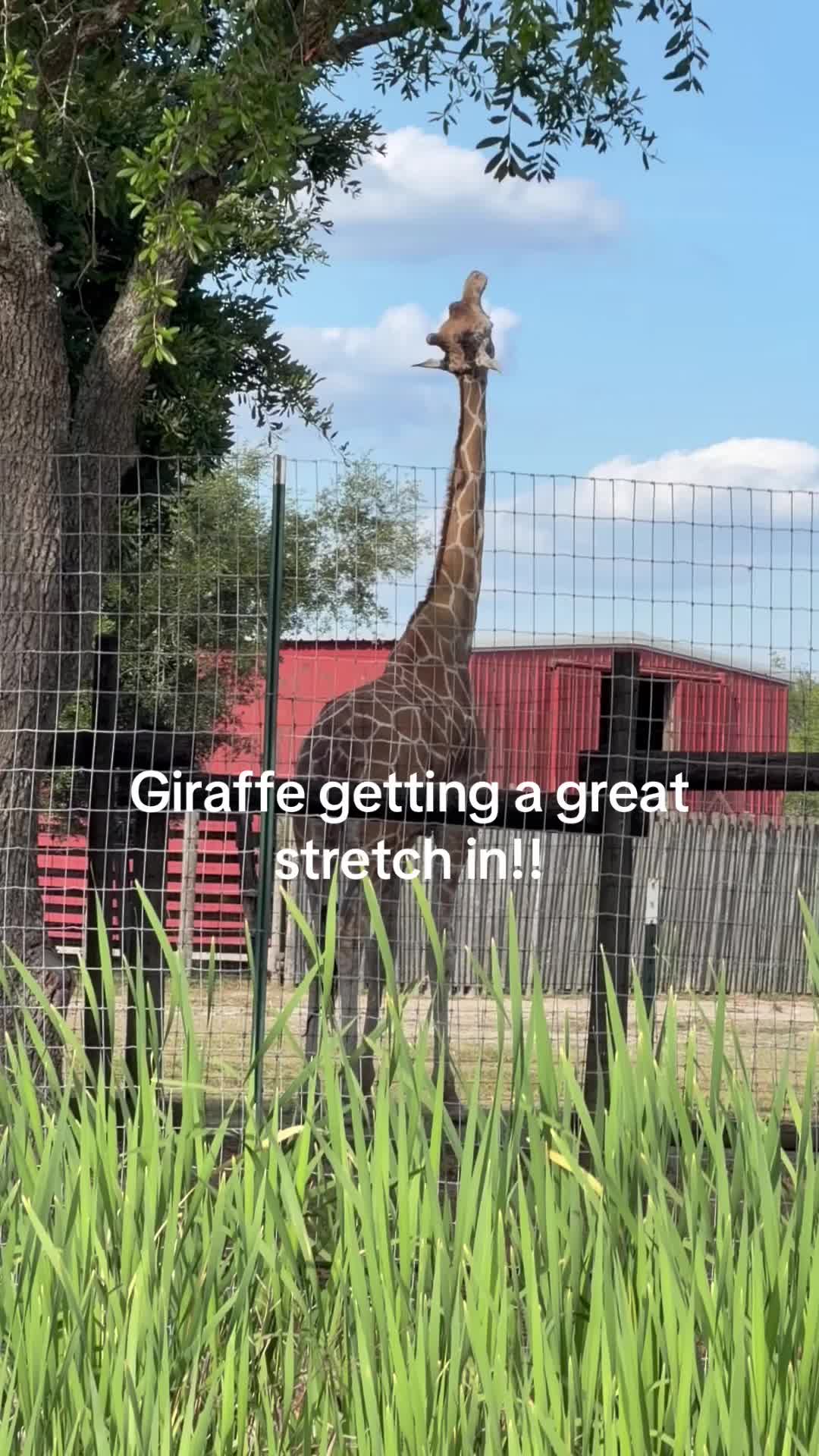 @Kelley Farms