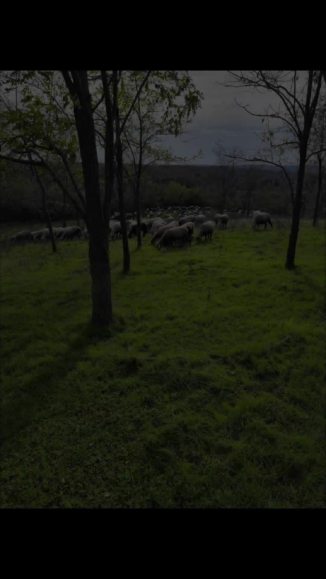 @Erhan Çiftçi