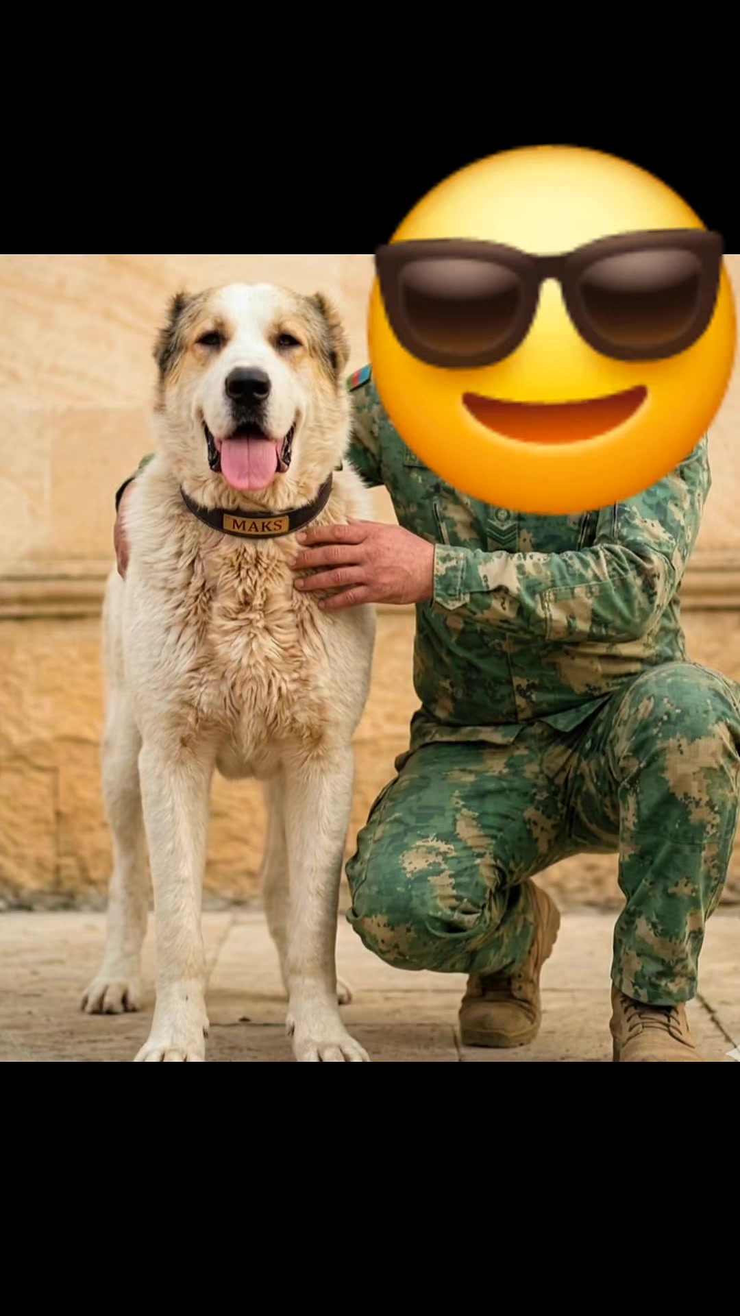 @Elşad__007