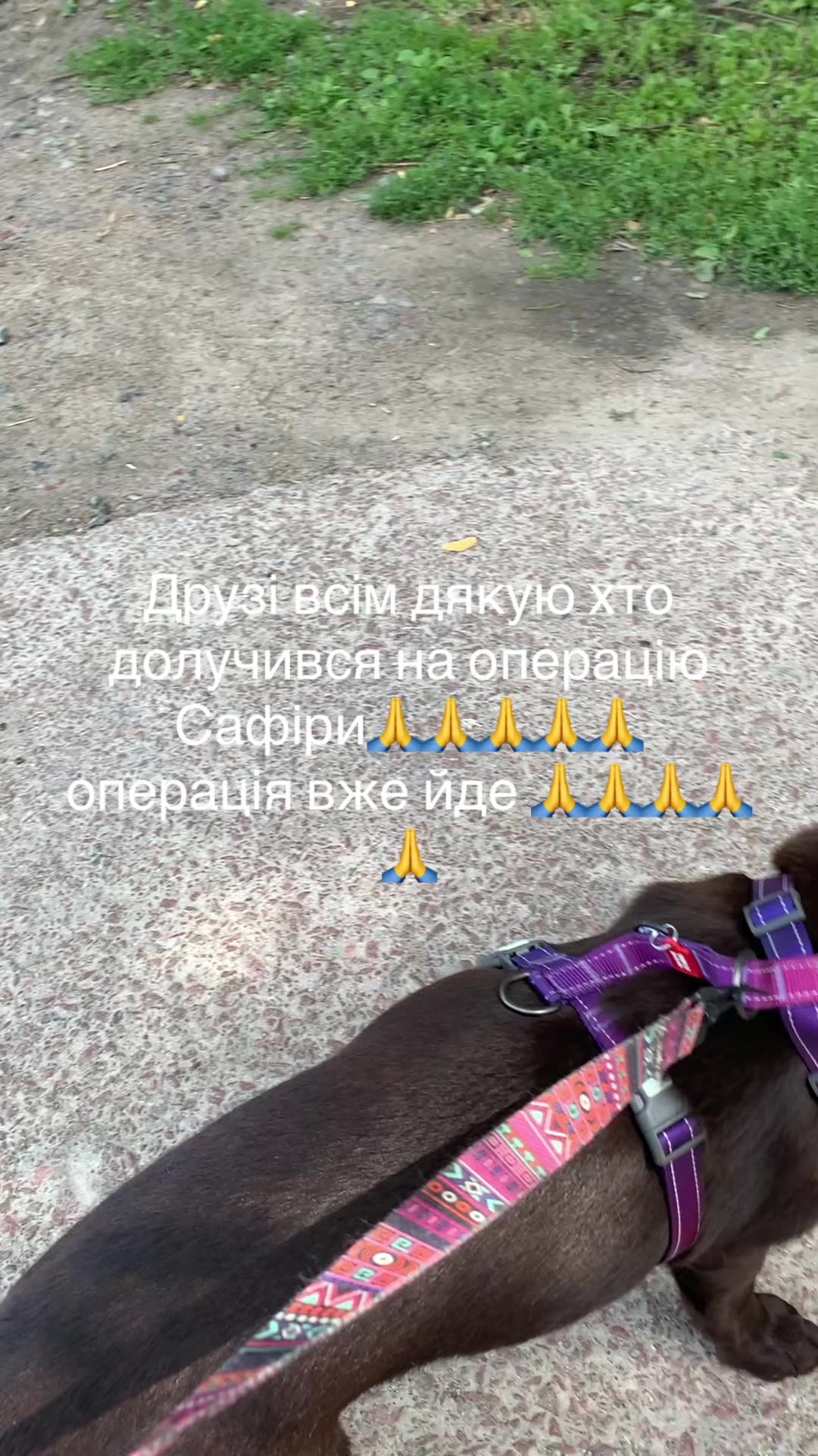 @Oksana