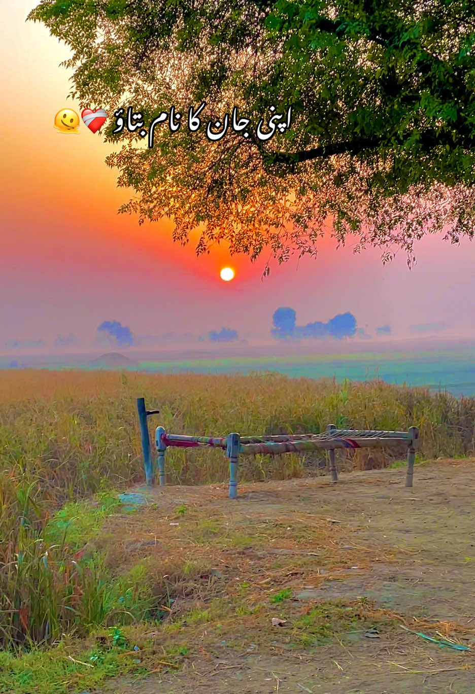 @🌱اویس میئو😎