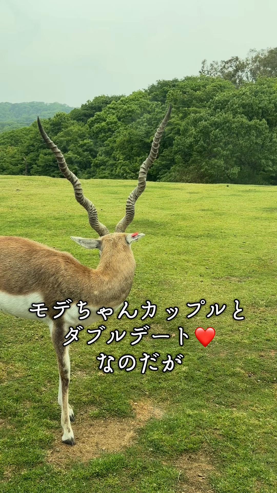 @Rin-na
