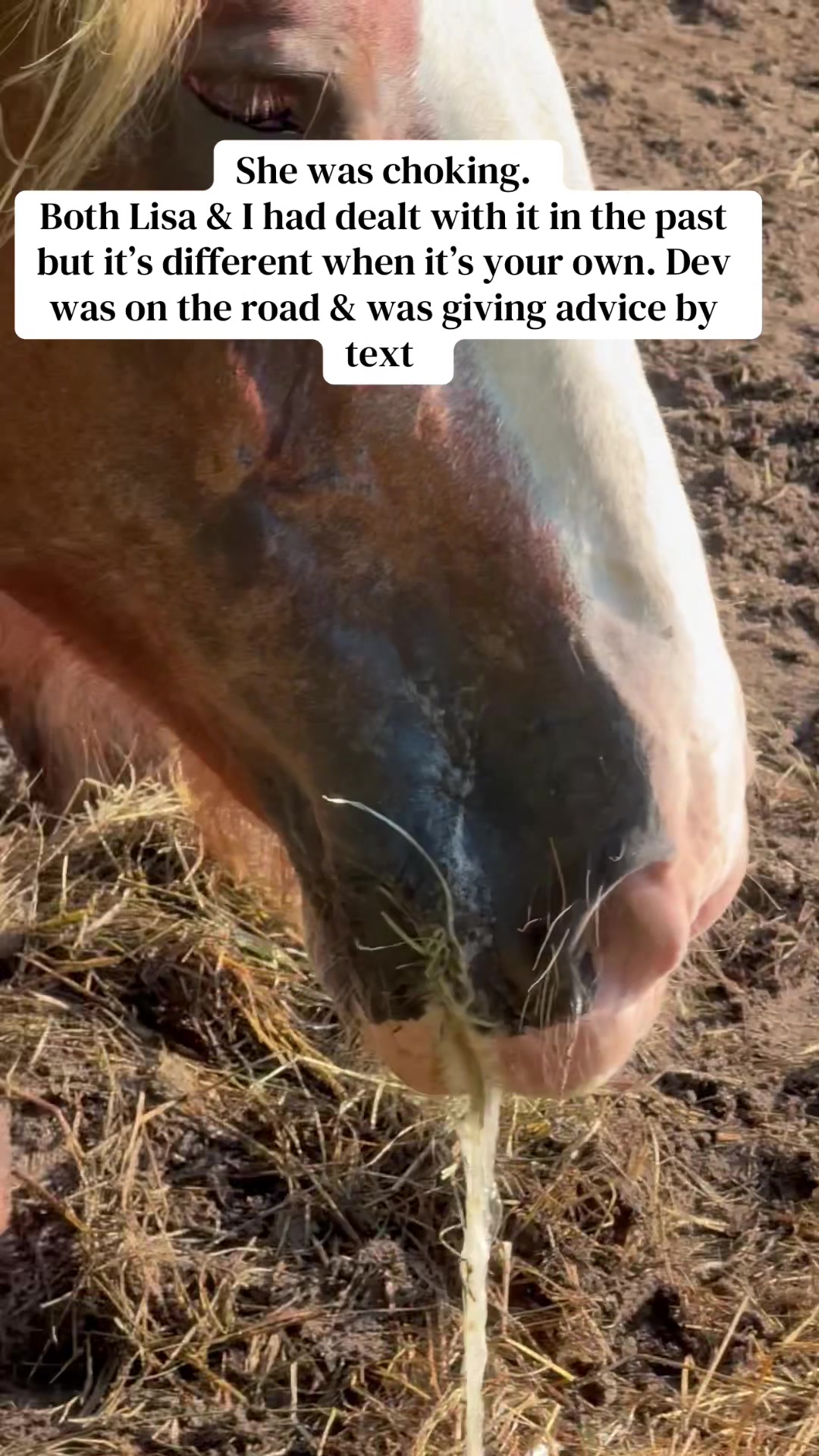 @Safe Place Pastures, Inc.