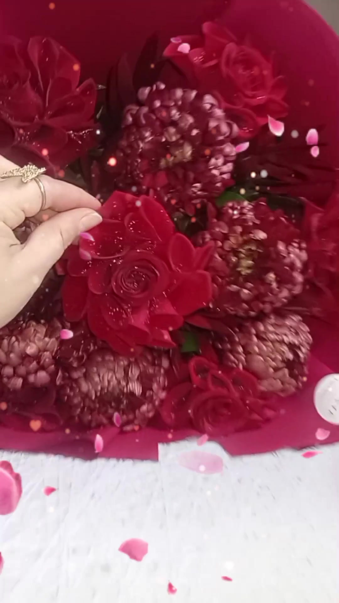 @Alıyev_lər