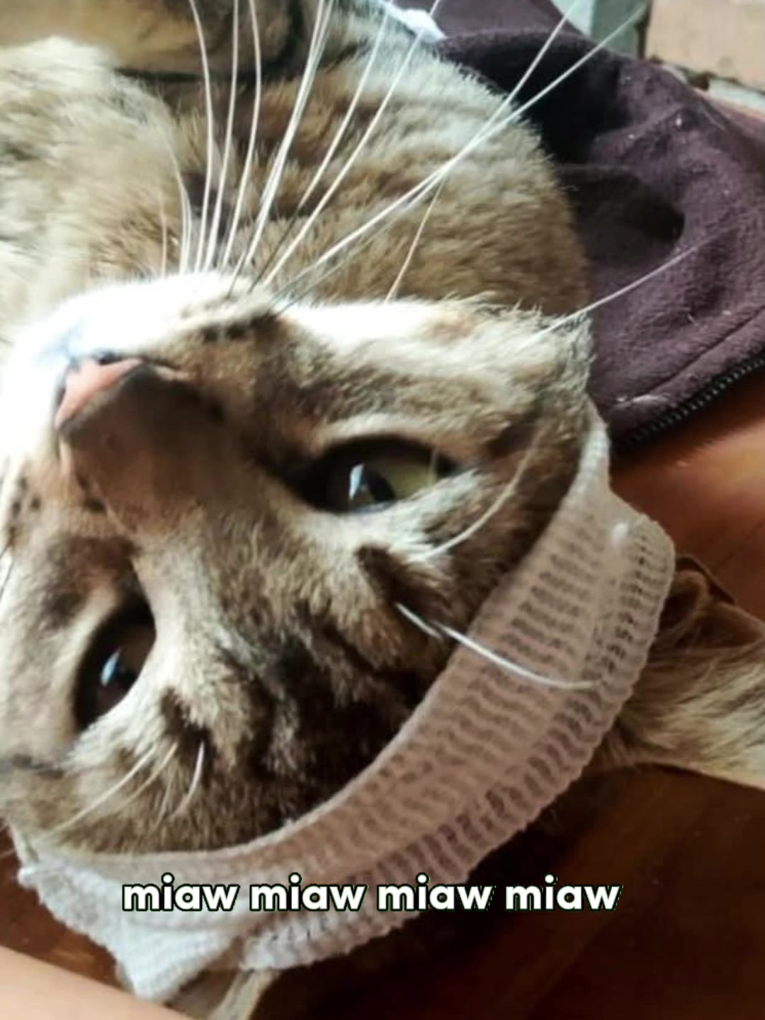 @karly De Lopez💍