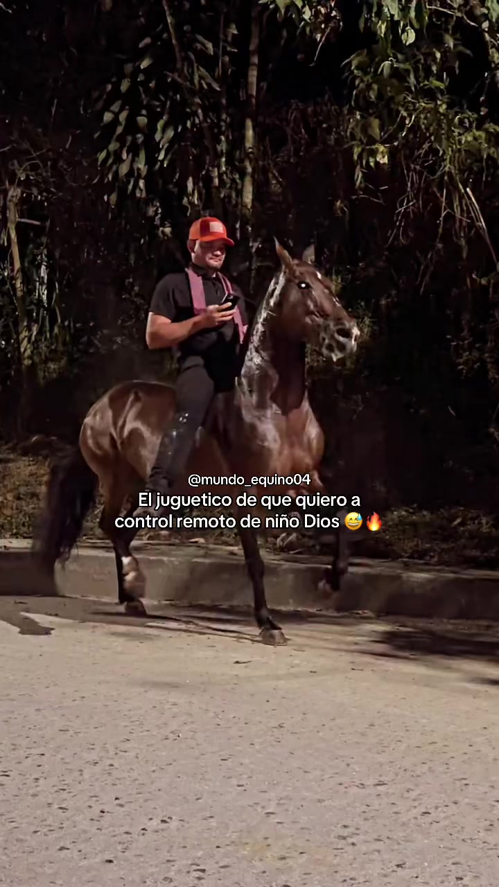 @mundo_equino04