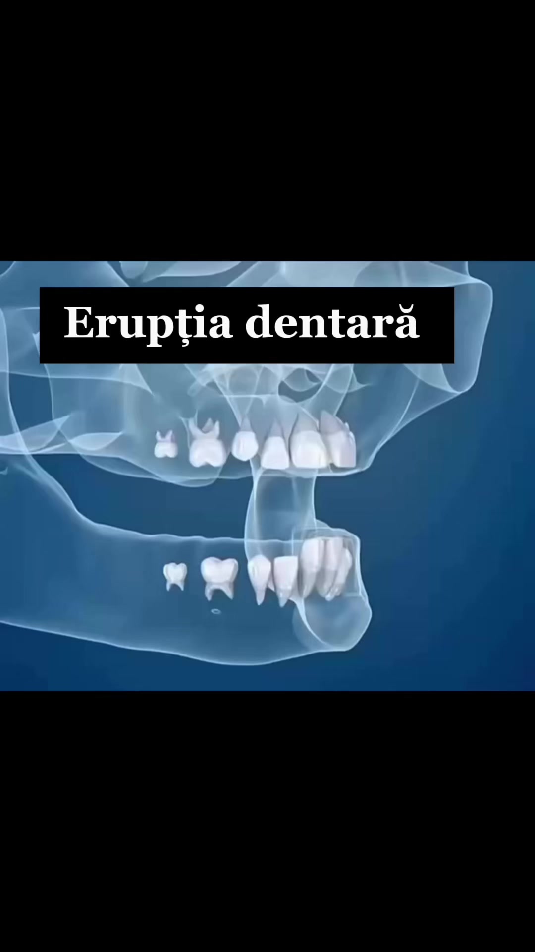 @Stomatolog Snejana Carabulea🦷