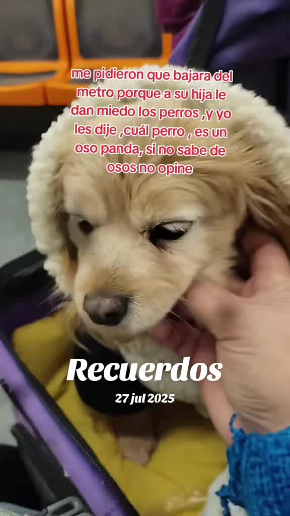 @Canelita@la bonita
