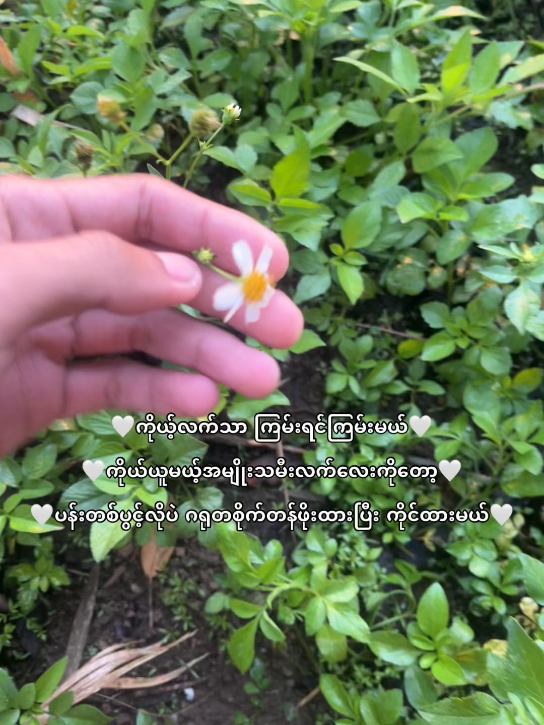 @ð«¶ð»Kwat Kwatð«¶ð»
