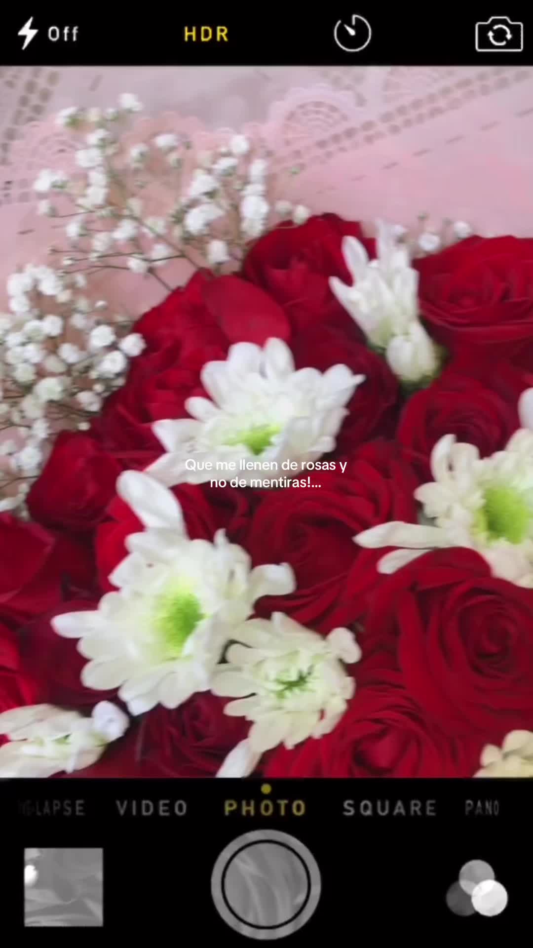 @angelicamurillo503