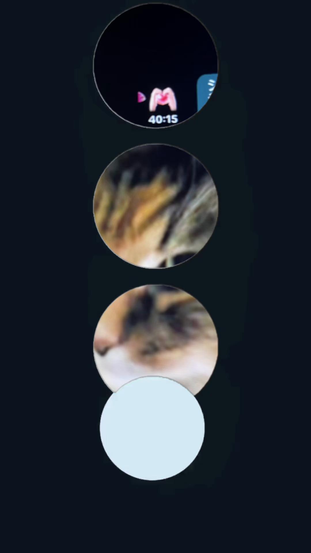 @๐ฉถใซใฃใใใ๐๐๐ฌ