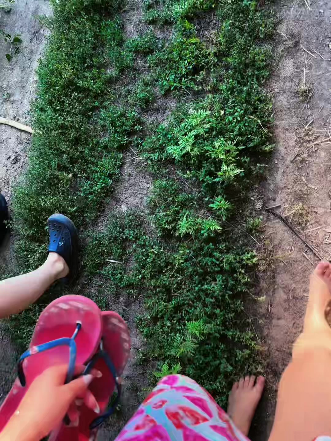 @Твоя Улиточка