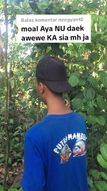 @MUIZ CREATOR