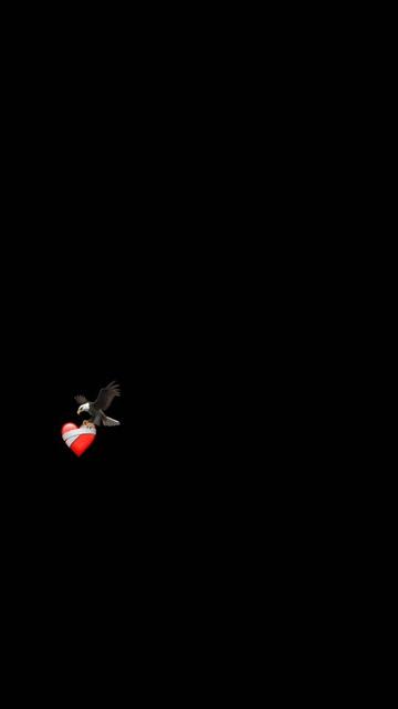 @﴾❂☙𝚆𝙰𝚁oo۞ LaLa☙❂﴿