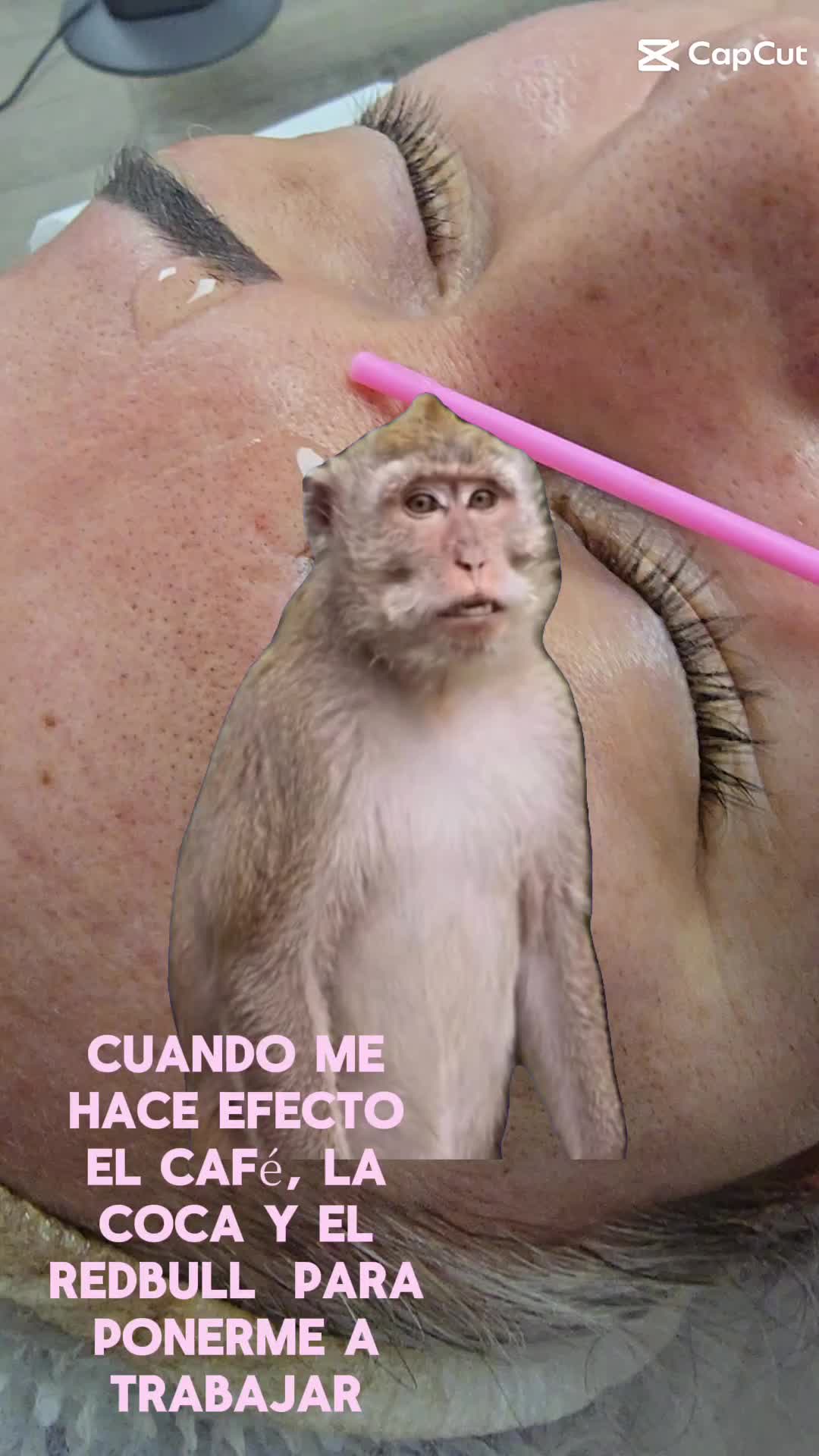 @Mary Zarazua